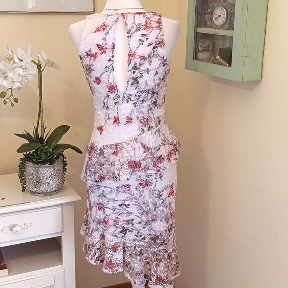 Bebe Lace Dress with Blue and Deep Pink Accents. Asymmeyric. Asian Inspired.Lace - Picture 5 of 11